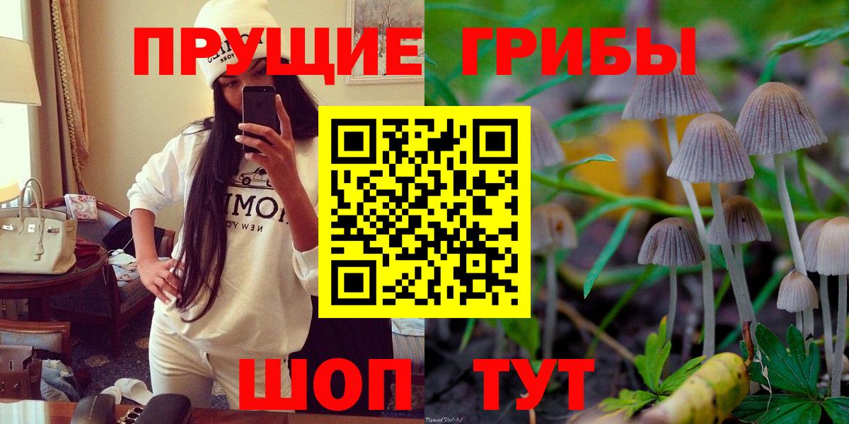 Усть-Илимск  Псилоцибиновые грибы GOLDEN TEACHER  Псилоцибиновые грибы ЛСД  Вход с VPN 
